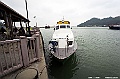 _DSC0611