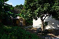 DSC_1387