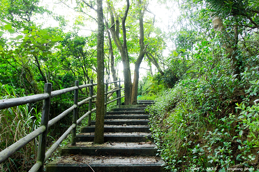 _DSC2719.jpg - SONY DSC