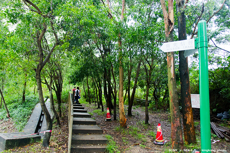_DSC2759.jpg - SONY DSC