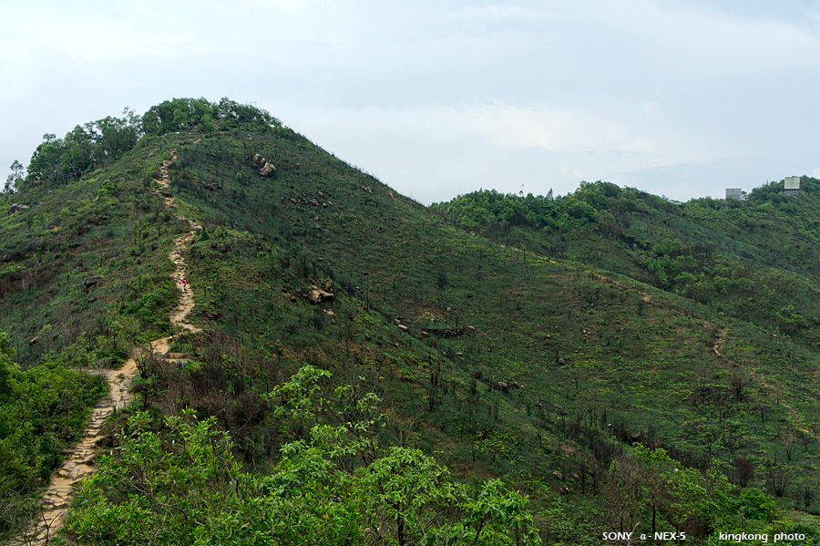 _DSC2764.jpg - SONY DSC