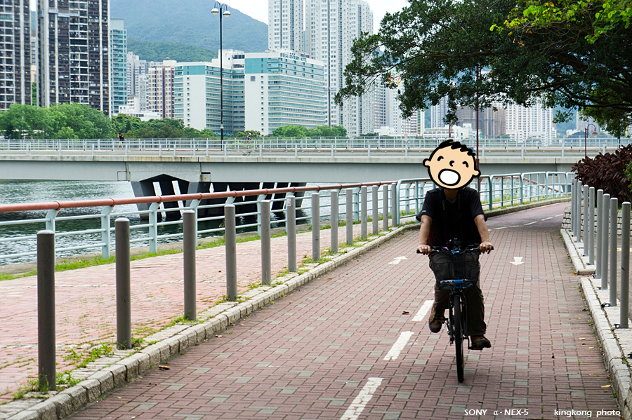 _DSC2787.jpg - SONY DSC