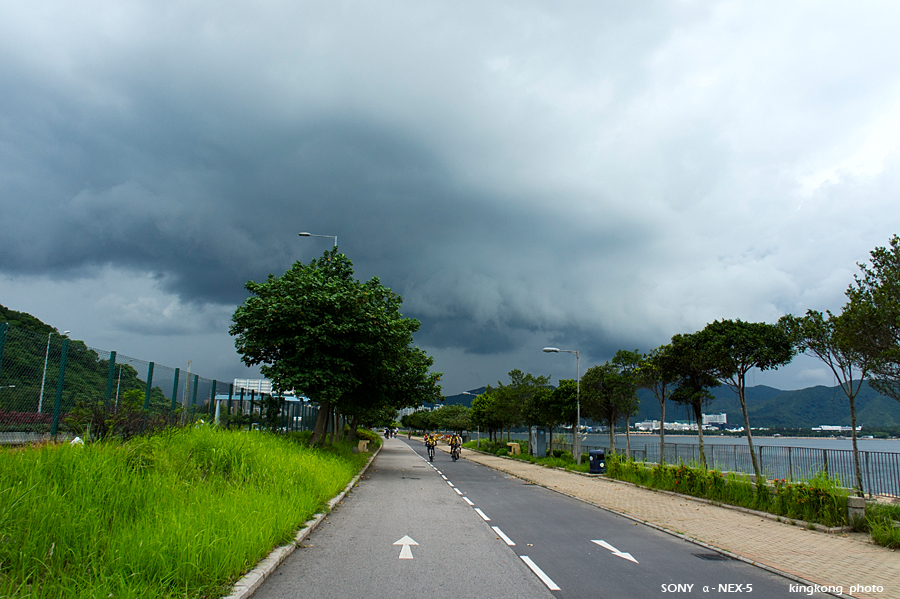 _DSC2800.jpg - SONY DSC