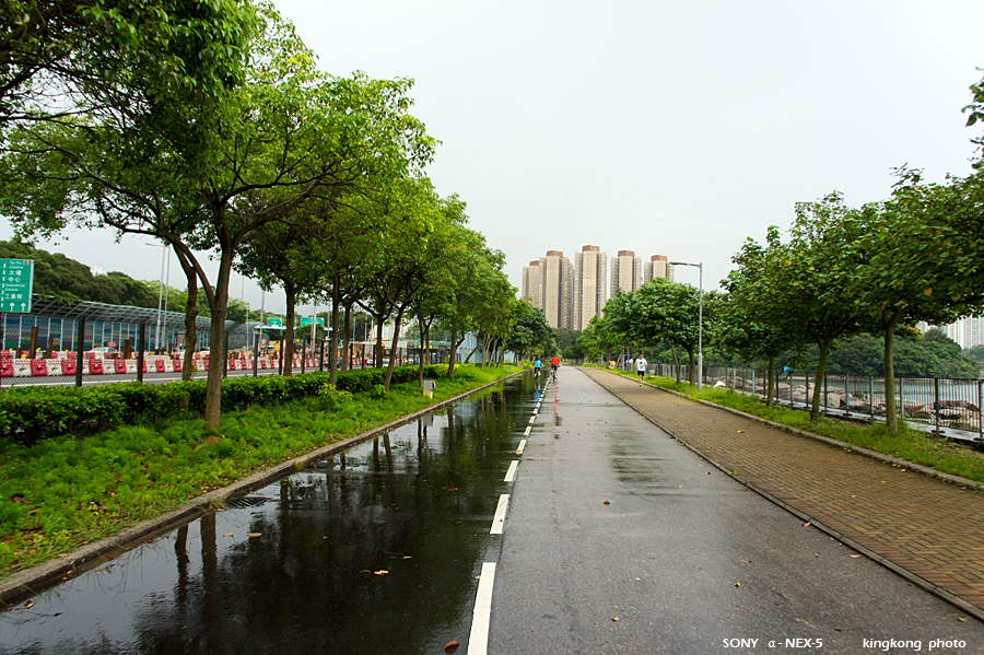_DSC2810.jpg - SONY DSC