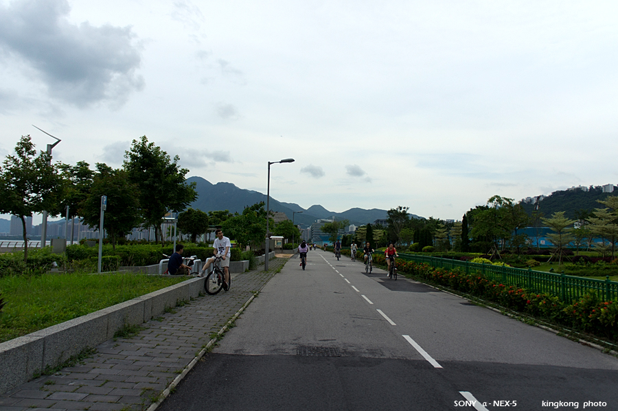 _DSC2812.jpg - SONY DSC