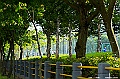 _DSC2819