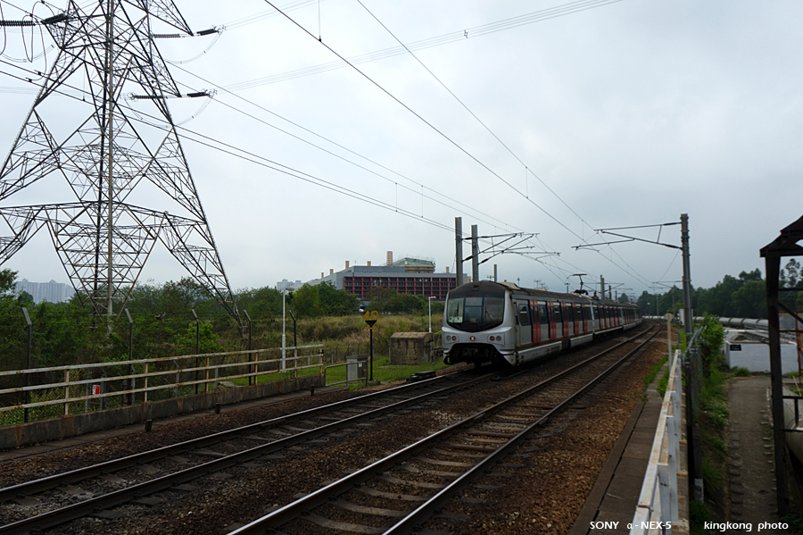 _DSC7950.jpg - SONY DSC