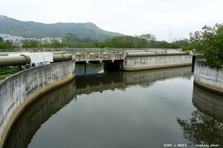 _DSC7956.jpg - SONY DSC