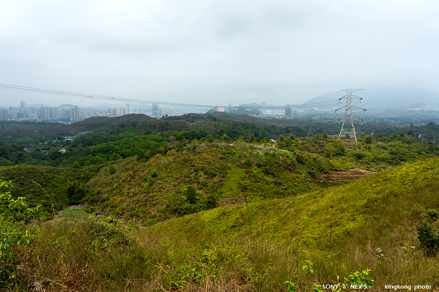 _DSC7994.jpg - SONY DSC