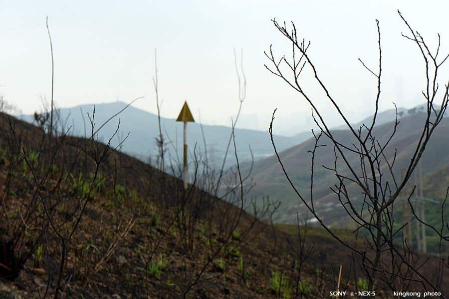 _DSC8071.jpg - SONY DSC