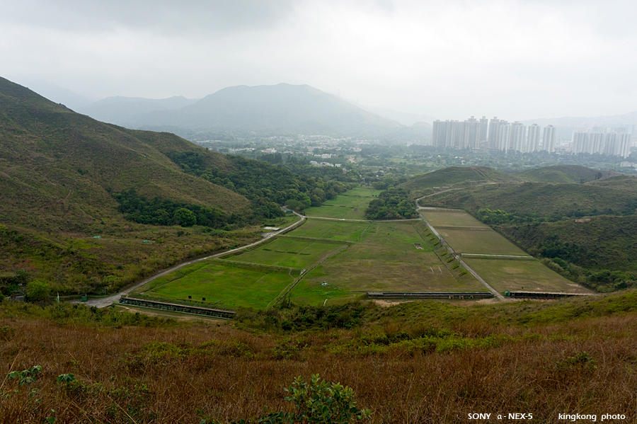 _DSC8073.jpg - SONY DSC