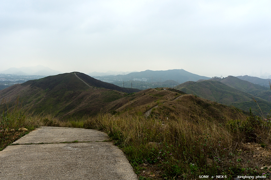 _DSC8077.jpg - SONY DSC