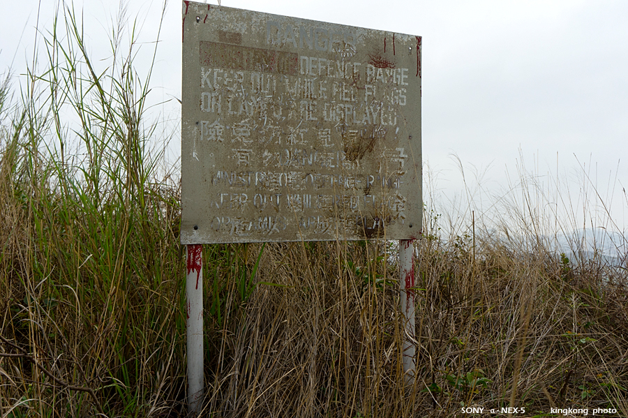 _DSC8078.jpg - SONY DSC