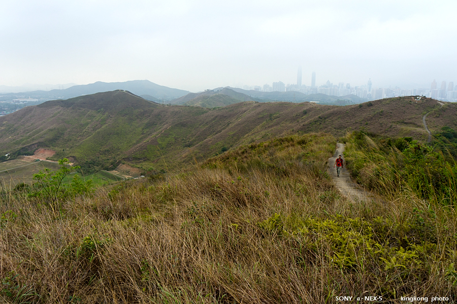 _DSC8080.jpg - SONY DSC