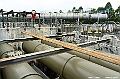 _DSC7951