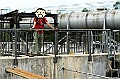 _DSC7953