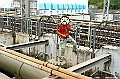 _DSC7960