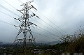 _DSC7984