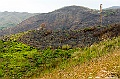 _DSC8026