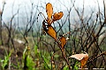 _DSC8029