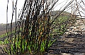 _DSC8036
