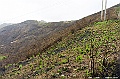 _DSC8037