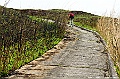 _DSC8040