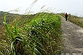 _DSC1658