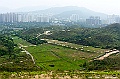 _DSC1674