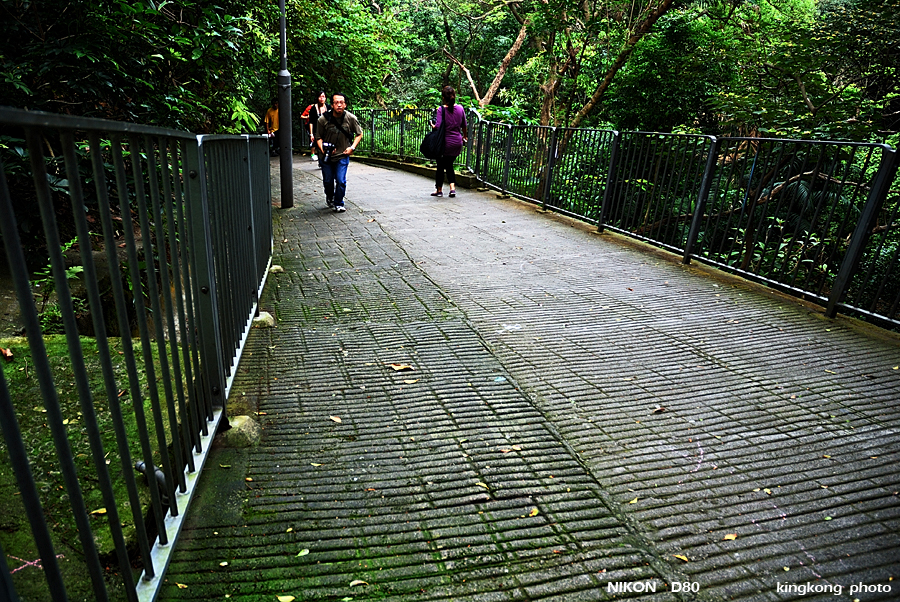 DSC_7078.jpg - WANCHAI TO PEAK