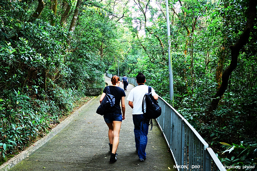 DSC_7083.jpg - WANCHAI TO PEAK