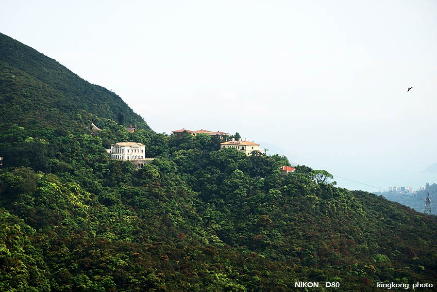 DSC_7118.jpg - WANCHAI TO PEAK