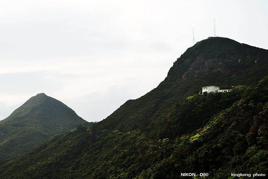 DSC_7161.jpg - WANCHAI TO PEAK