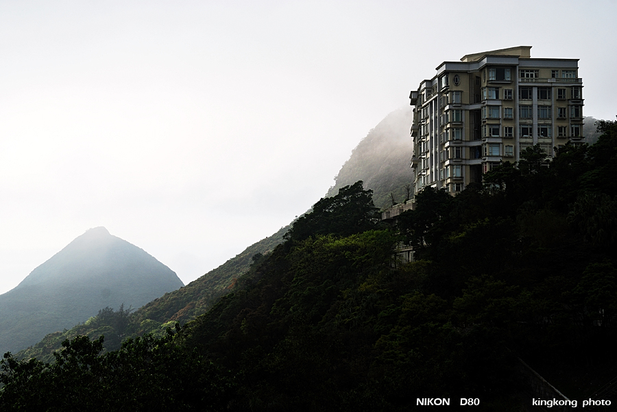 DSC_7177.jpg - WANCHAI TO PEAK