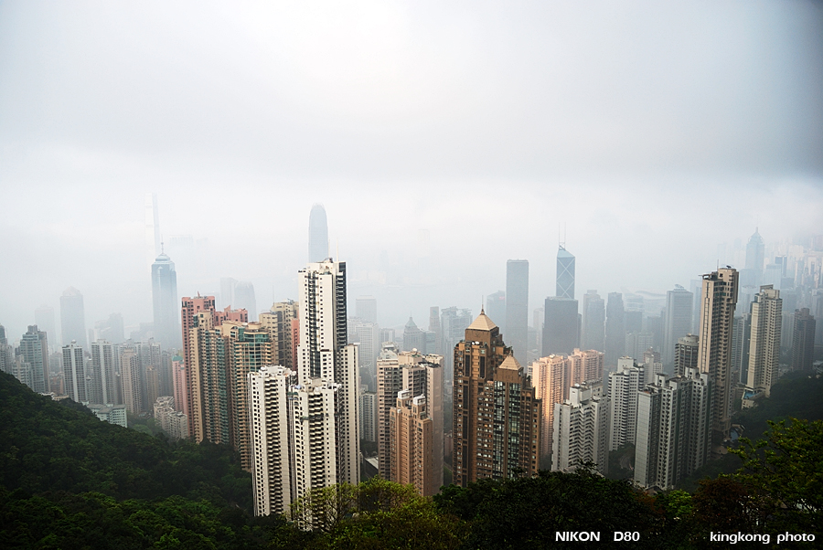 DSC_7179.jpg - WANCHAI TO PEAK