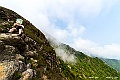 _DSC8461