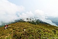 _DSC8477