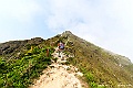 _DSC8486