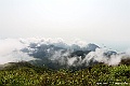 _DSC8494