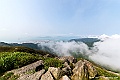_DSC8496