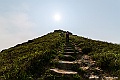 _DSC8520
