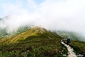 _DSC8529
