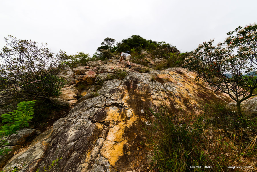 _DSC8306.jpg - Taken at Latitude/Longitude:22.237932/113.906622.  km       (Map link) 