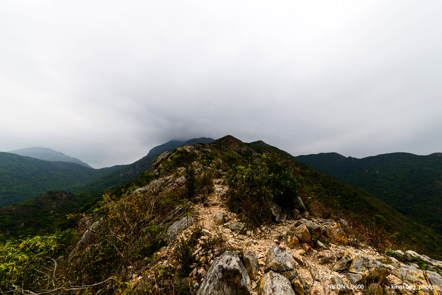 _DSC8312.jpg