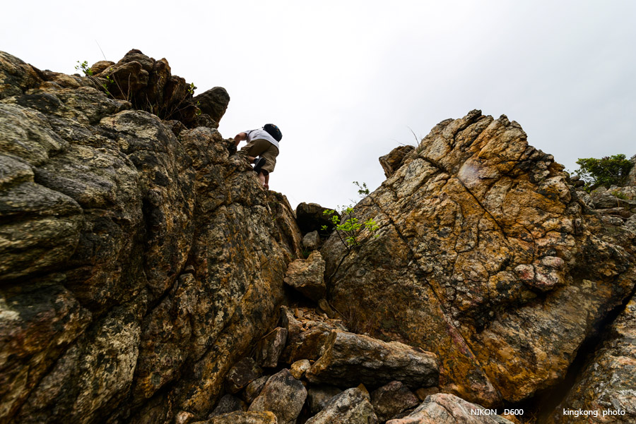 _DSC8314.jpg