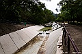 _DSC8295