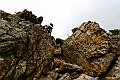 _DSC8314