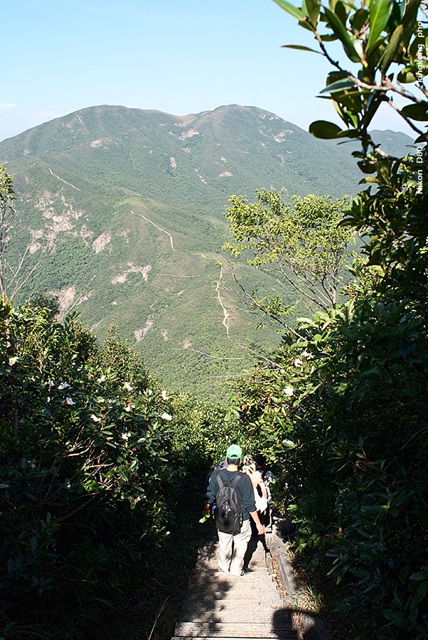 DSC_2427.JPG - STANLEY TO QUARRY BAY