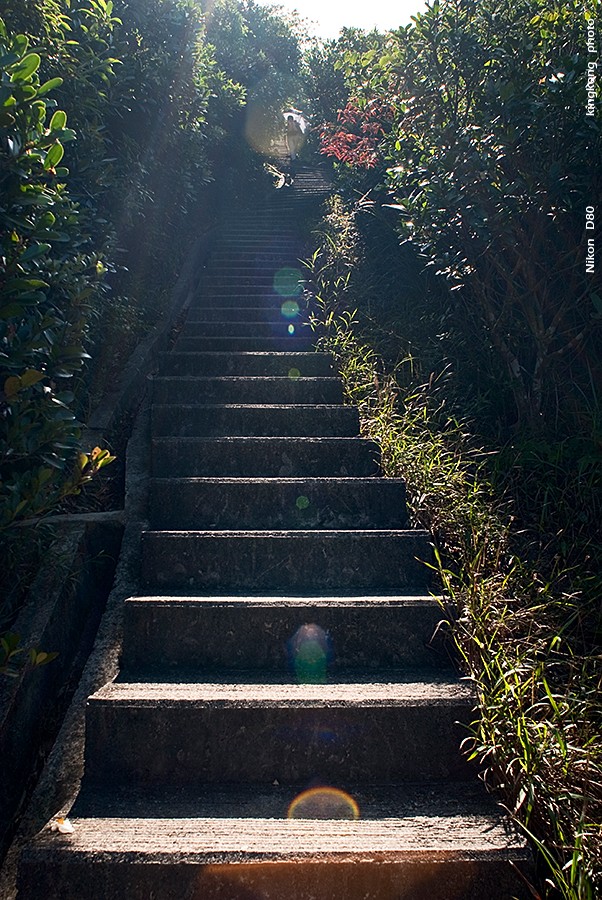 DSC_2430.JPG - STANLEY TO QUARRY BAY