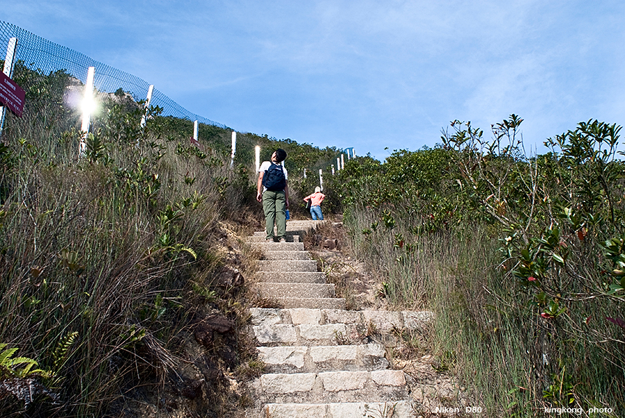 DSC_2639.JPG - STANLEY TO QUARRY BAY